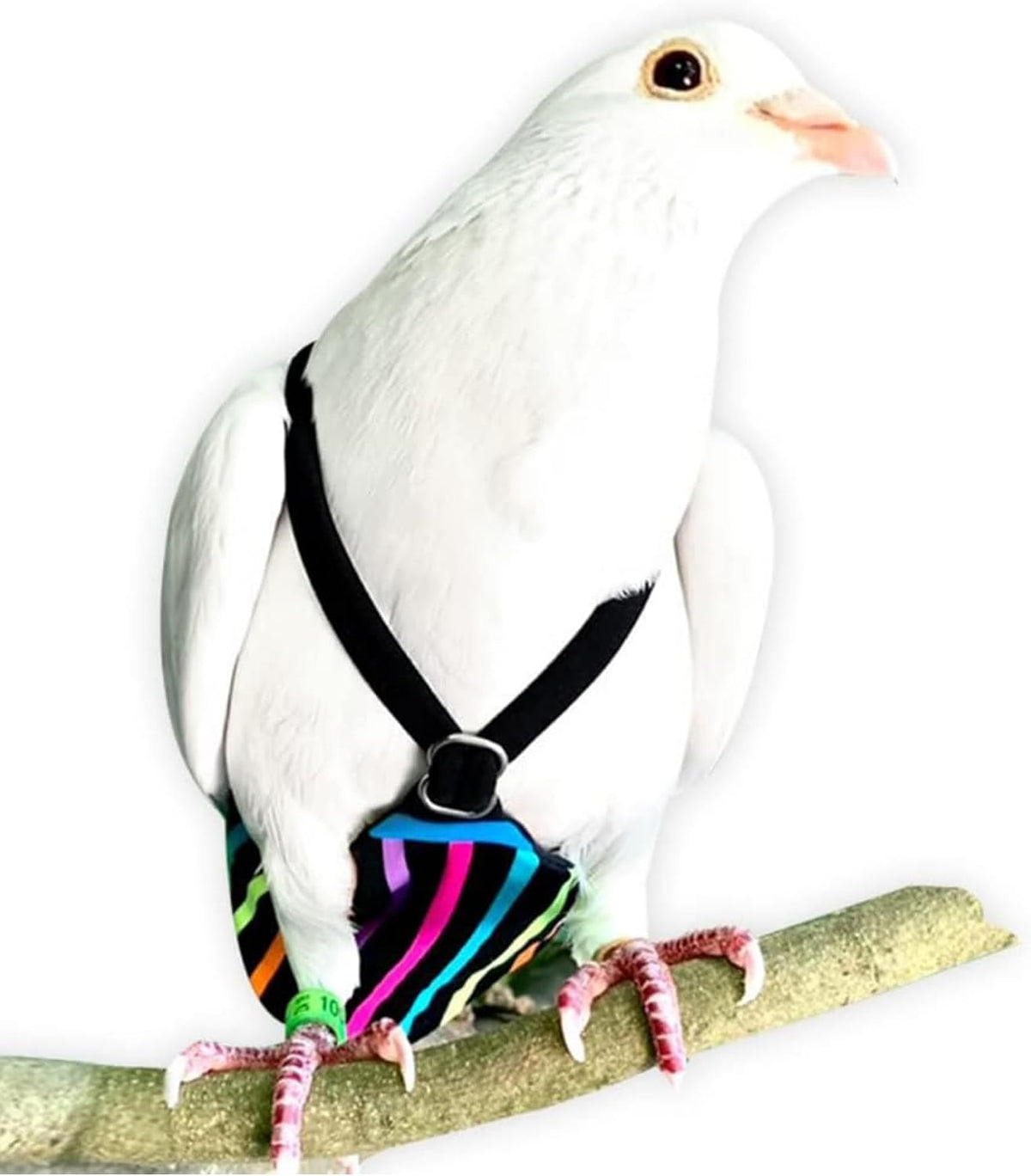 Adjustable slider detail on Flyper Mini bird diaper
