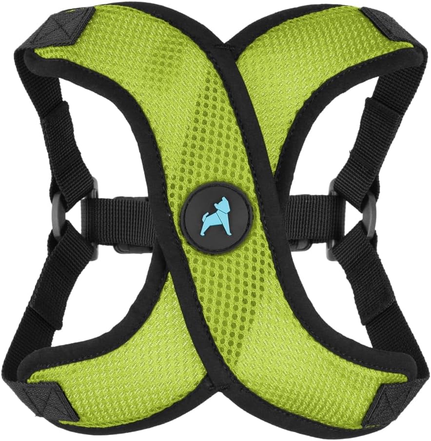 Gooby small and medium dog harness being adjusted on a pet back view.