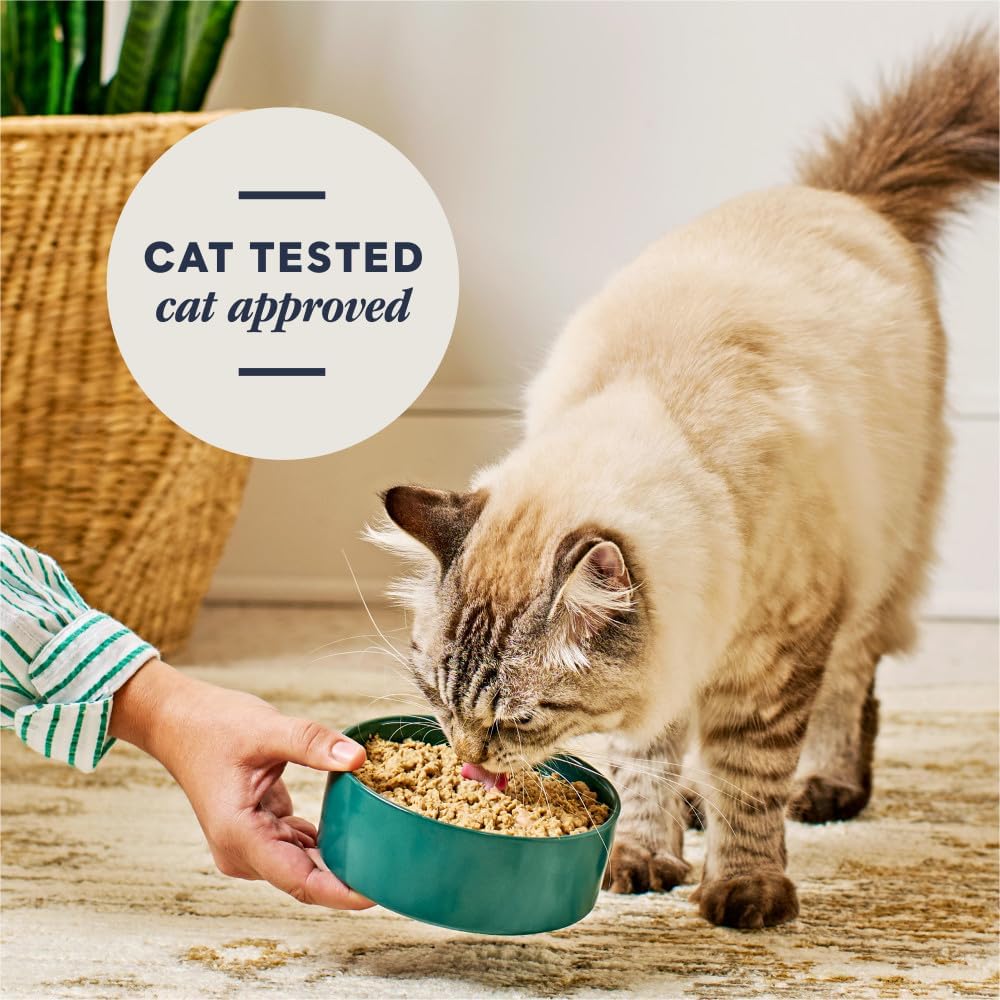 Healthy grain free freeze dried raw food for adult cats show packaging details