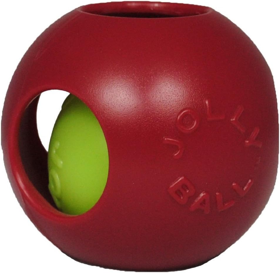 Medium sized dog playing with red Jolly Pets Teaser Ball