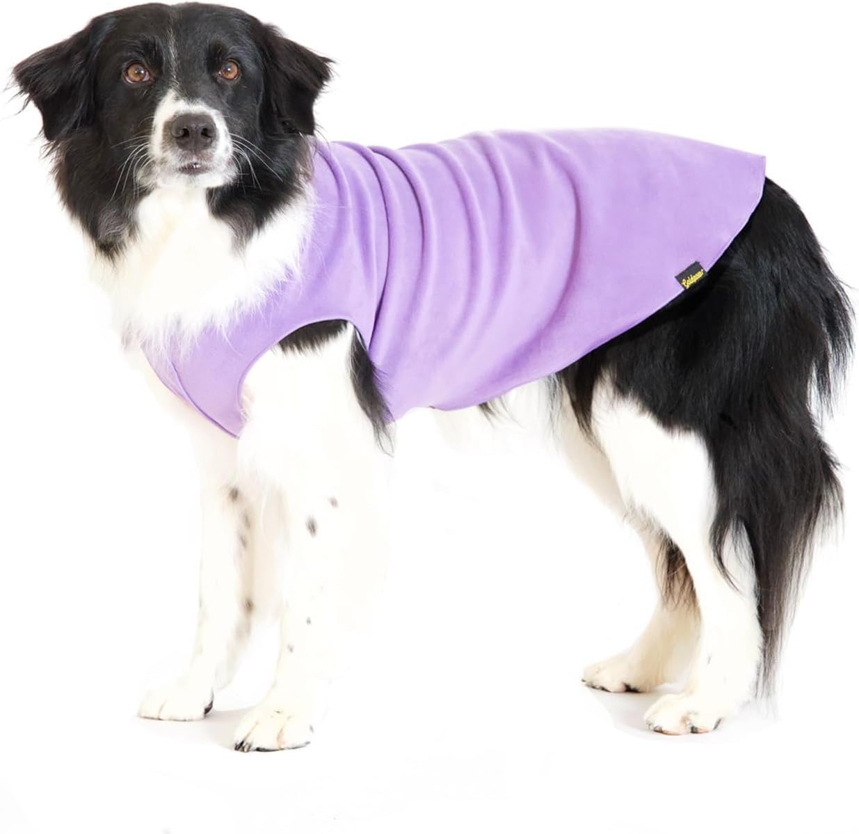 Washable fleece dog apparel marine blue variant folded neatly.