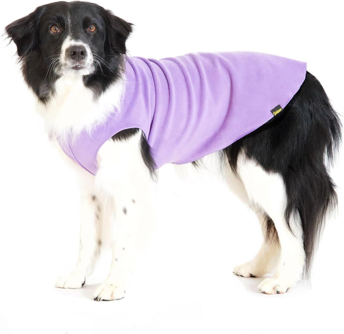 Washable fleece dog apparel marine blue variant folded neatly.