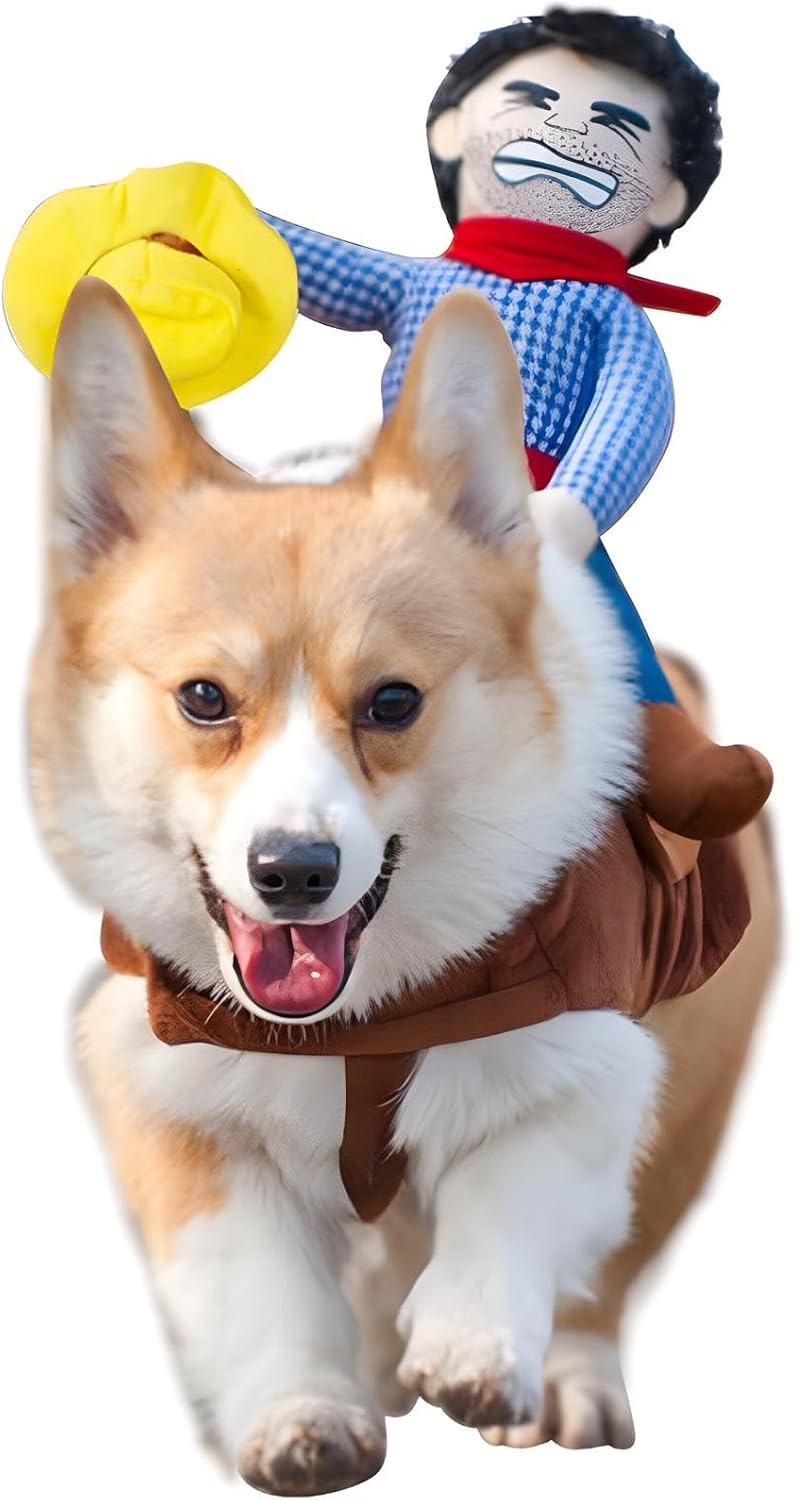 DELIFUR Dog Cowboy Riding Costume front view on a pet dog