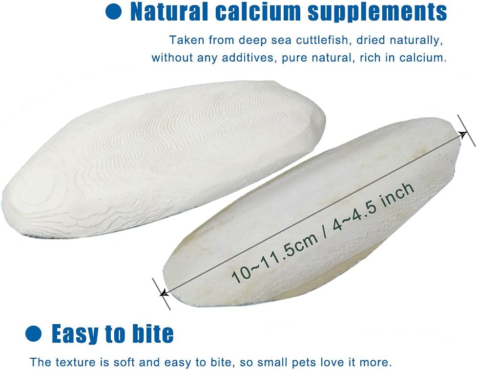 Mivofun natural cuttlebone two pack layout showing size dimensions