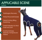 Kuoser professional surgical suit back leg coverage detail