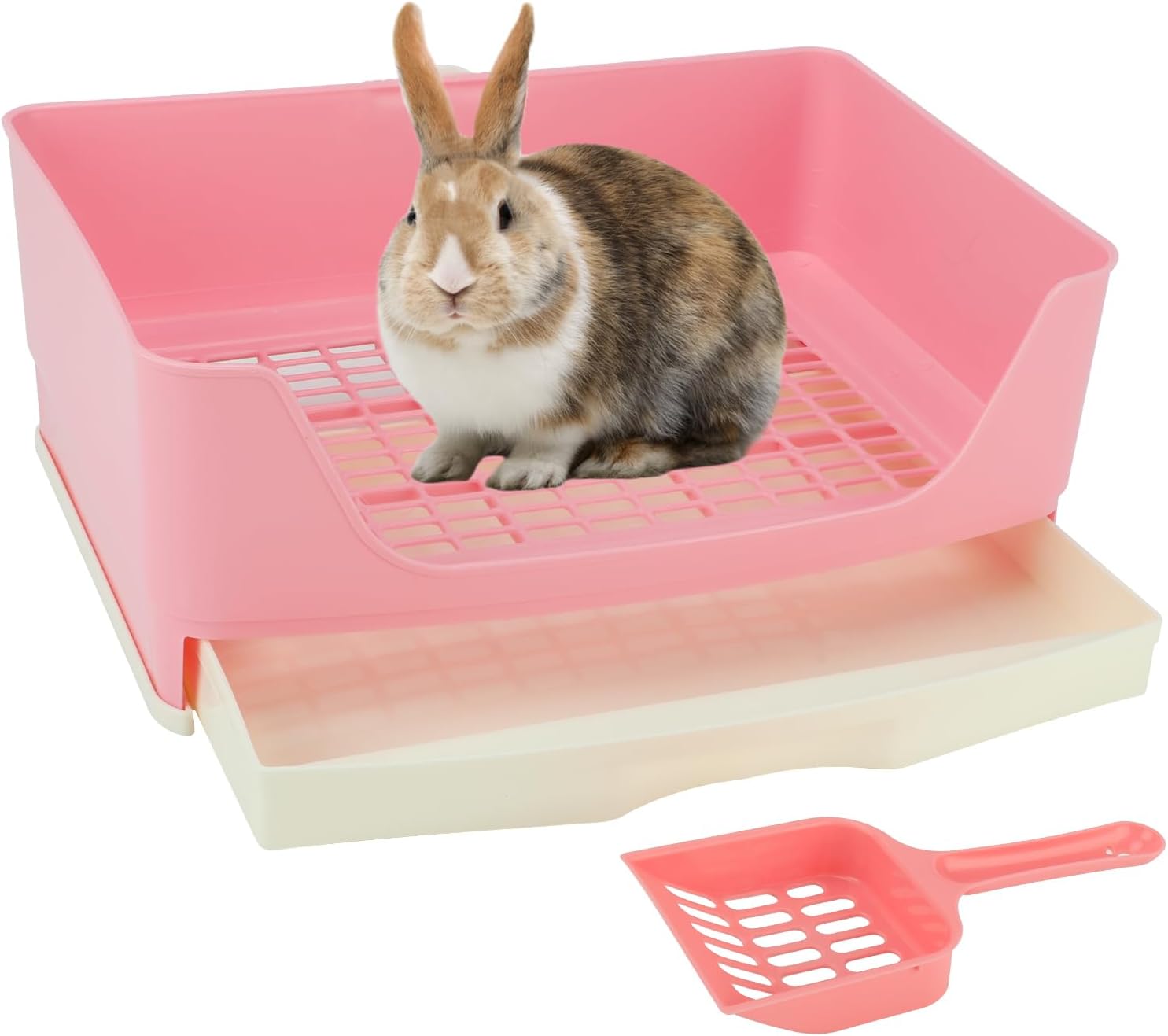 Bwogue litter box inside wire cage setup