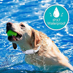 Bousnic dog training collar modes and LCD display