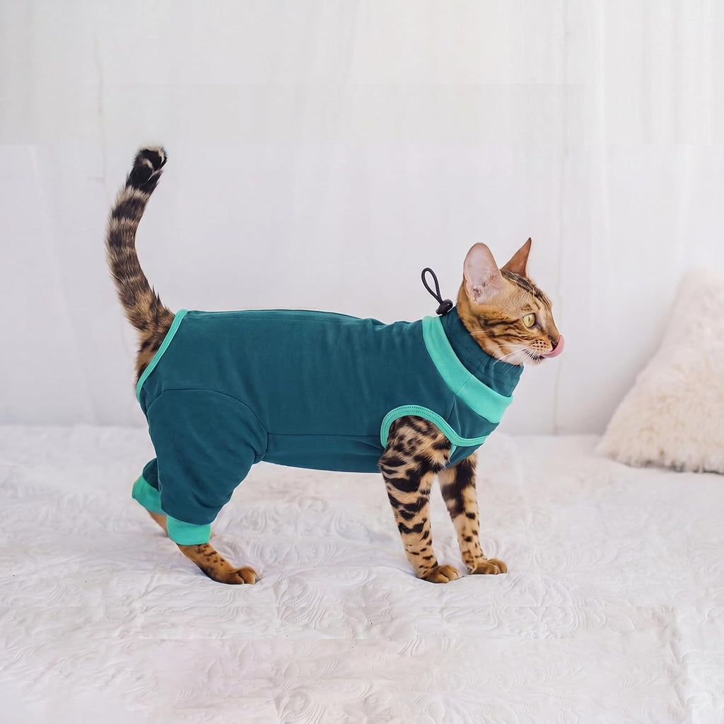 Size chart for Brkurleg pet recovery clothing