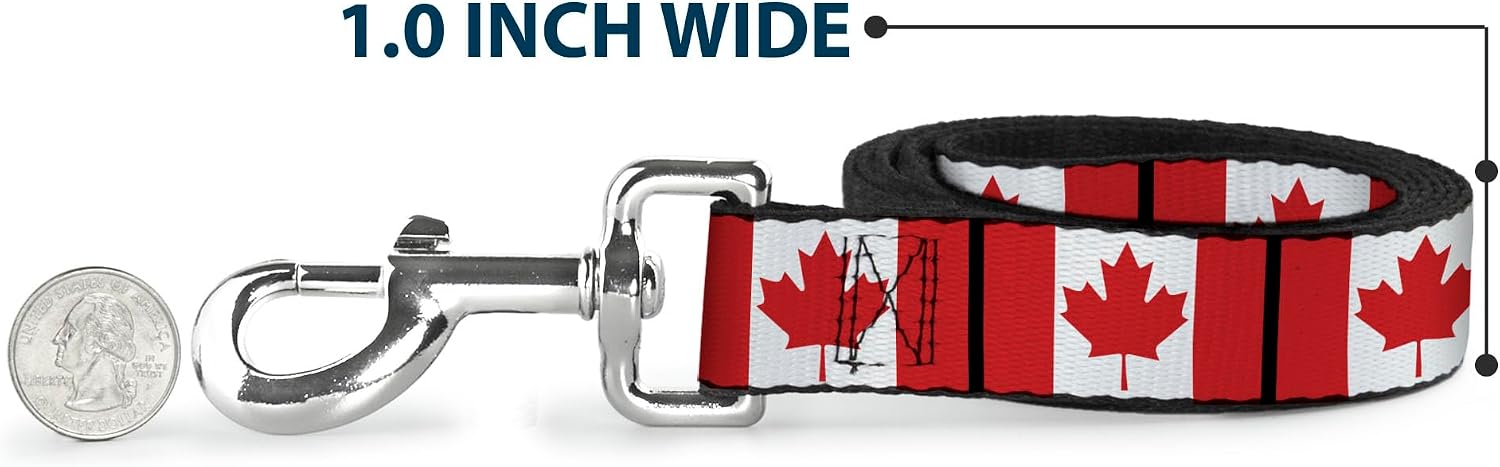 Buckle-Down dog leash durable polyester strap material