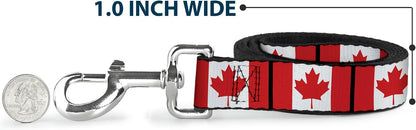 Buckle-Down dog leash durable polyester strap material