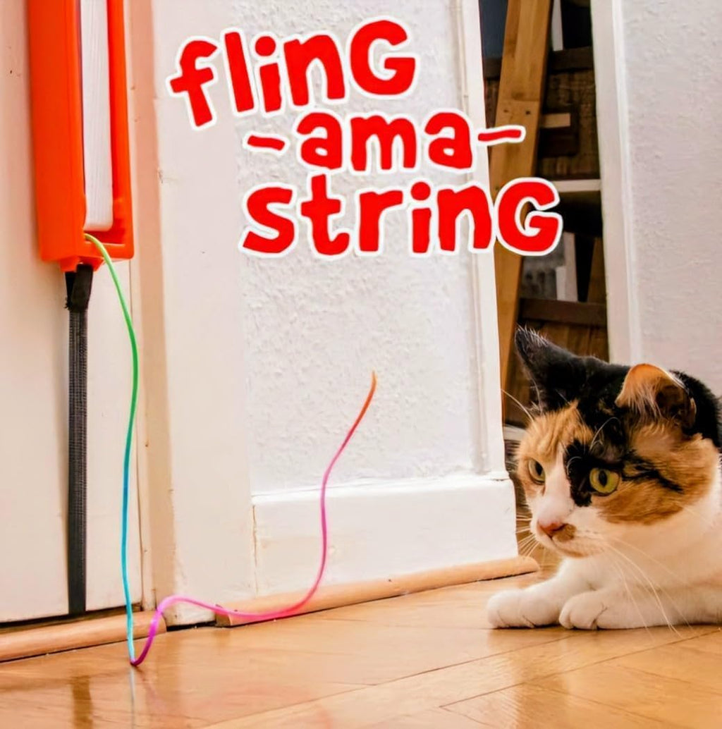 Moody Pet indoor cat toy packaging and included components