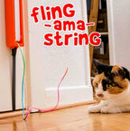 Moody Pet indoor cat toy packaging and included components