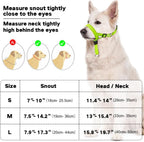 Green Domiglow heavy pulling control collar with adjustable chin clip