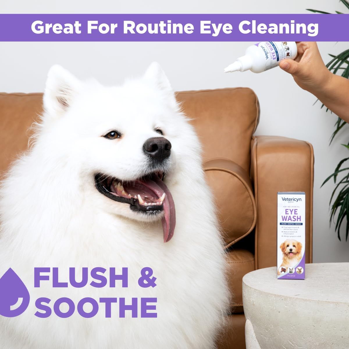 Safe antimicrobial eye drop solution for pets