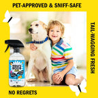 Natural pet stain and odor remover spray on carpet