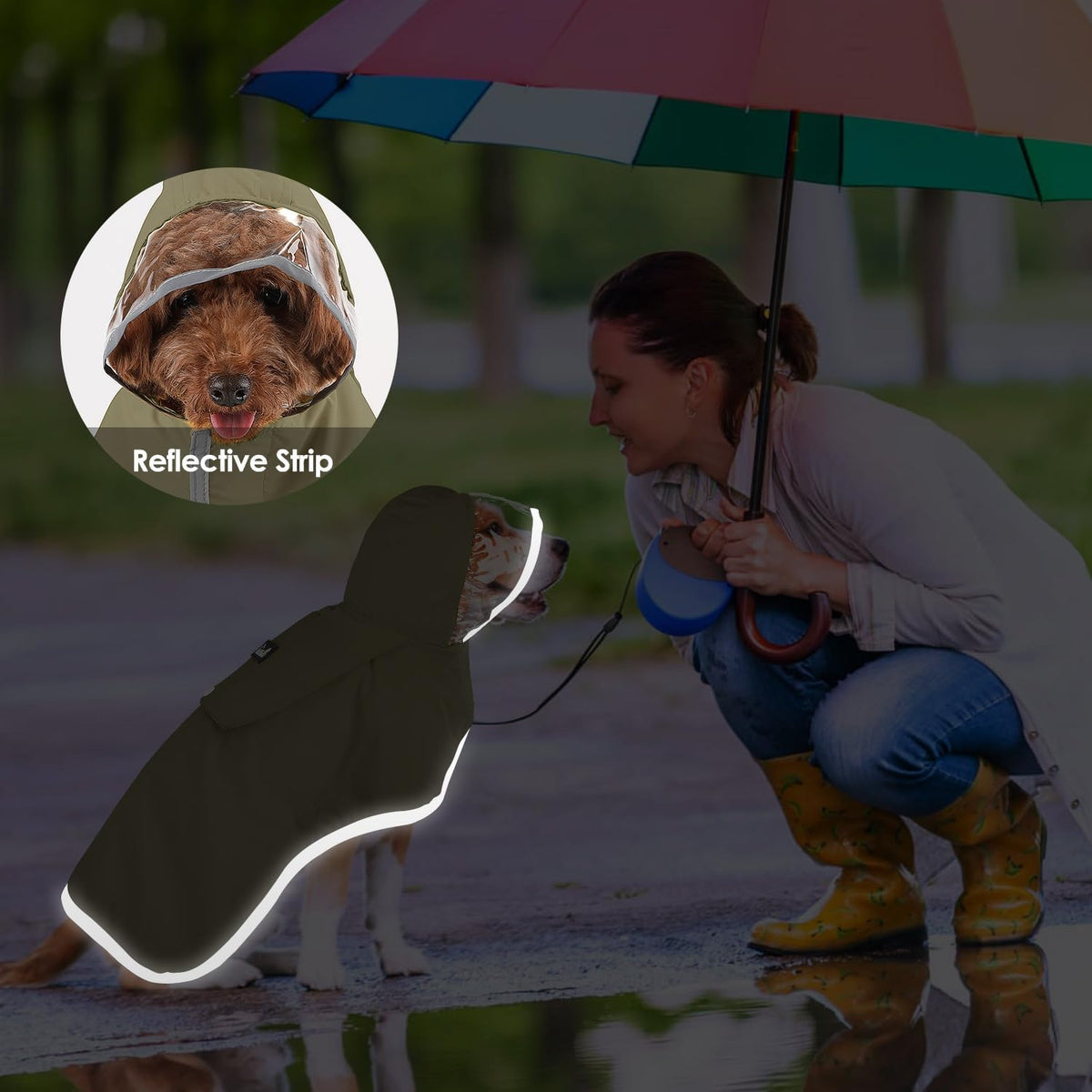 Lukovee hooded pet poncho worn by a small dog in wet weather conditions