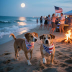 Side view of a large boy dog sporting the comfortable dual layer Independence Day pet bandana.