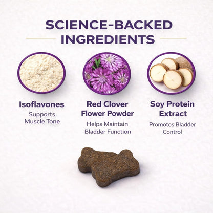 Bite sized chicken flavored soft chews for spayed and senior female dog incontinence support.