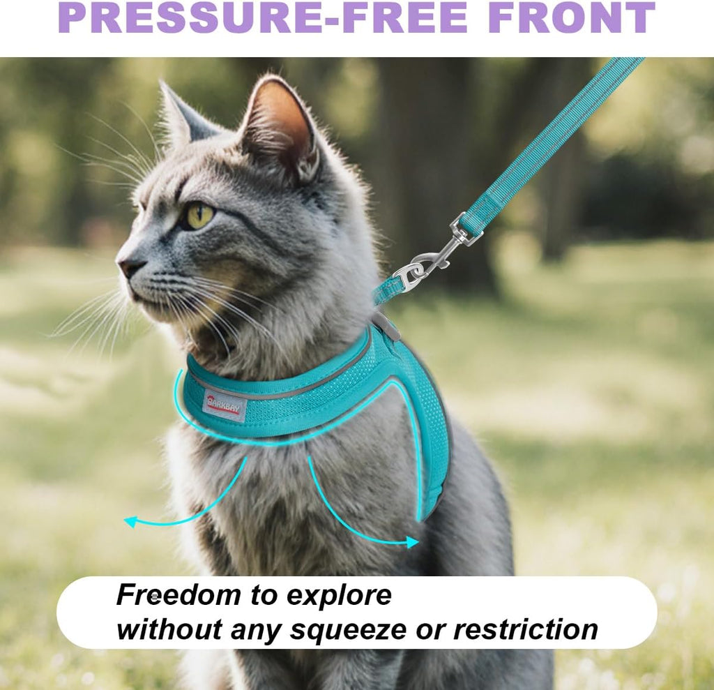 Step in style blue pet harness layout demonstrating easy wear design without overhead straps.