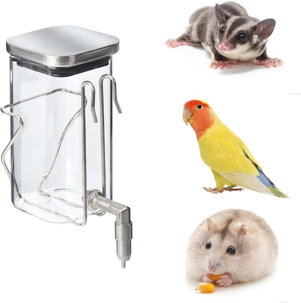 Premium Stainless Steel & Glass Pet Water Bottle - Firing Pin No-Drip Dispenser for Rabbits/Parrots/Rodents | 3 Size Options with Universal Cage Mount (600ml) - Image 8