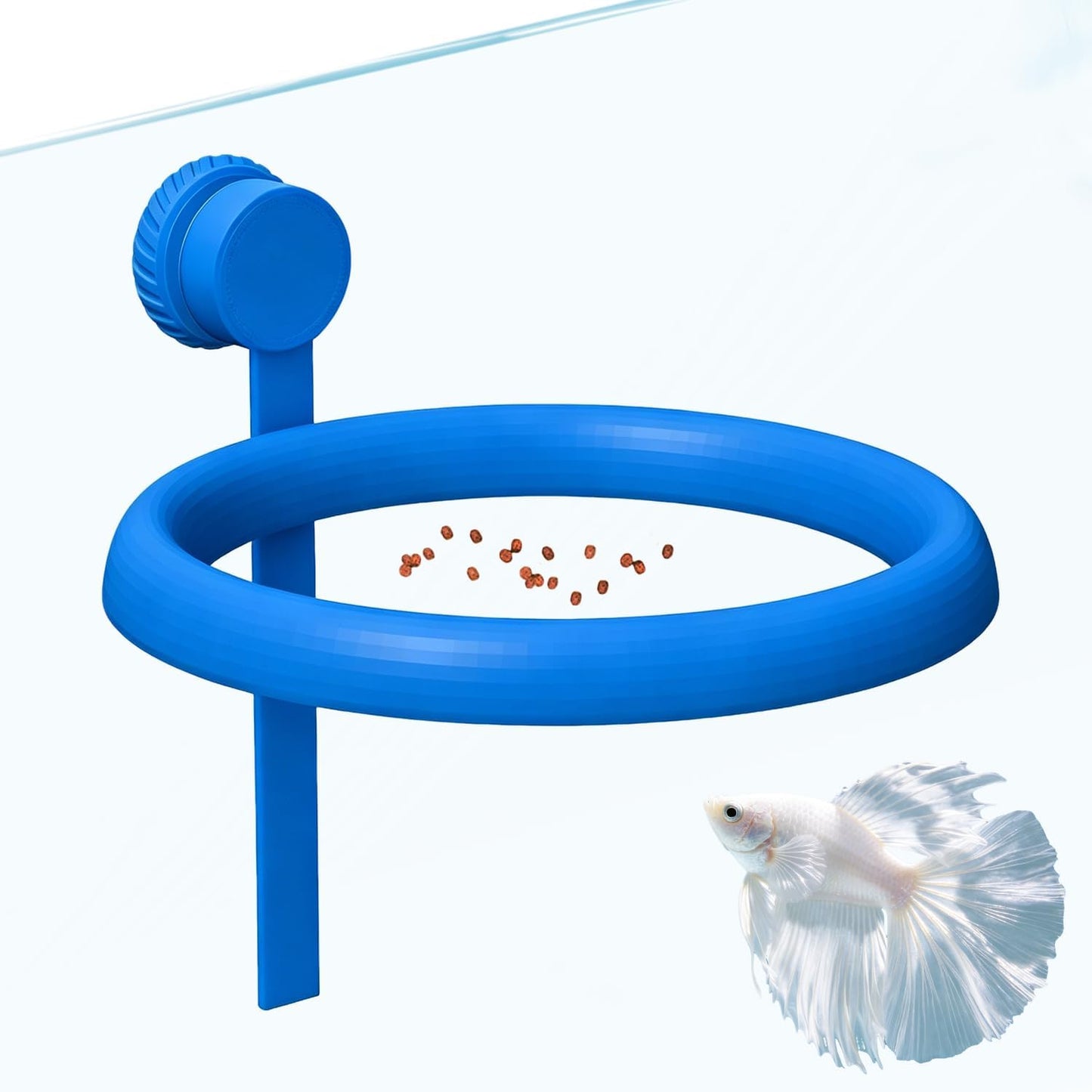 Daelala floating aquarium feeder showing secure attachment on twelve millimeter glass