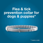 Seresto dog collar packaging showing active ingredient technology