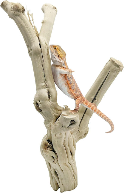 Apatal extra large natural wood climbing branch for reptiles front view