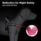APAKBAK outdoor dog training vest quick fit buckles view for pet owners