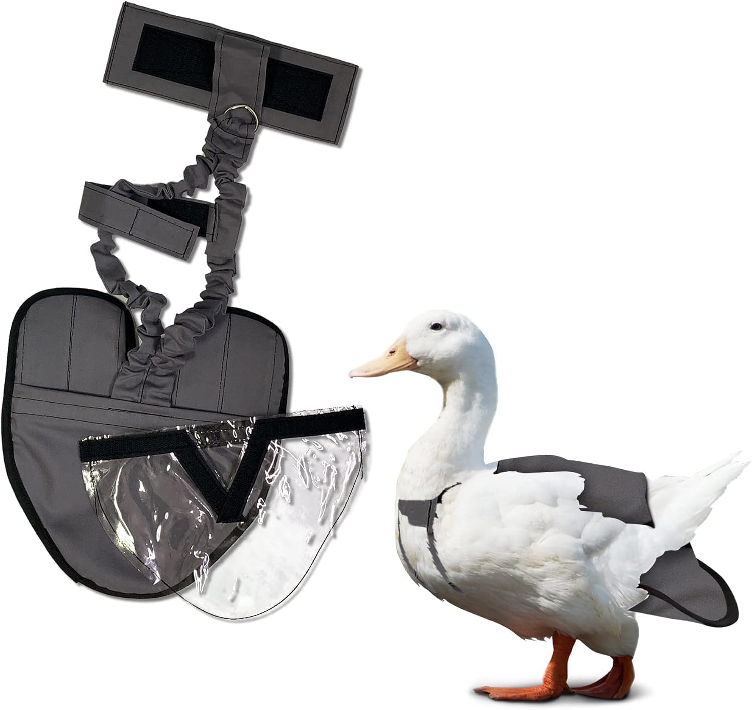 Premium waterfowl poultry harness with integrated metal leash attachment D ring