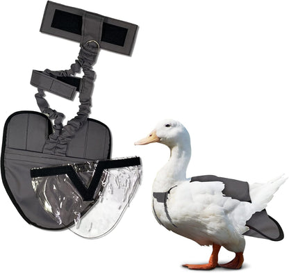 Premium waterfowl poultry harness with integrated metal leash attachment D ring