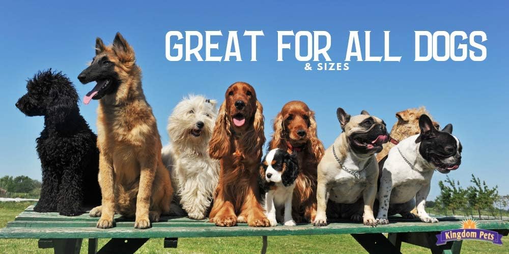 Healthy grain-free duck jerky treats in 48 ounce packaging