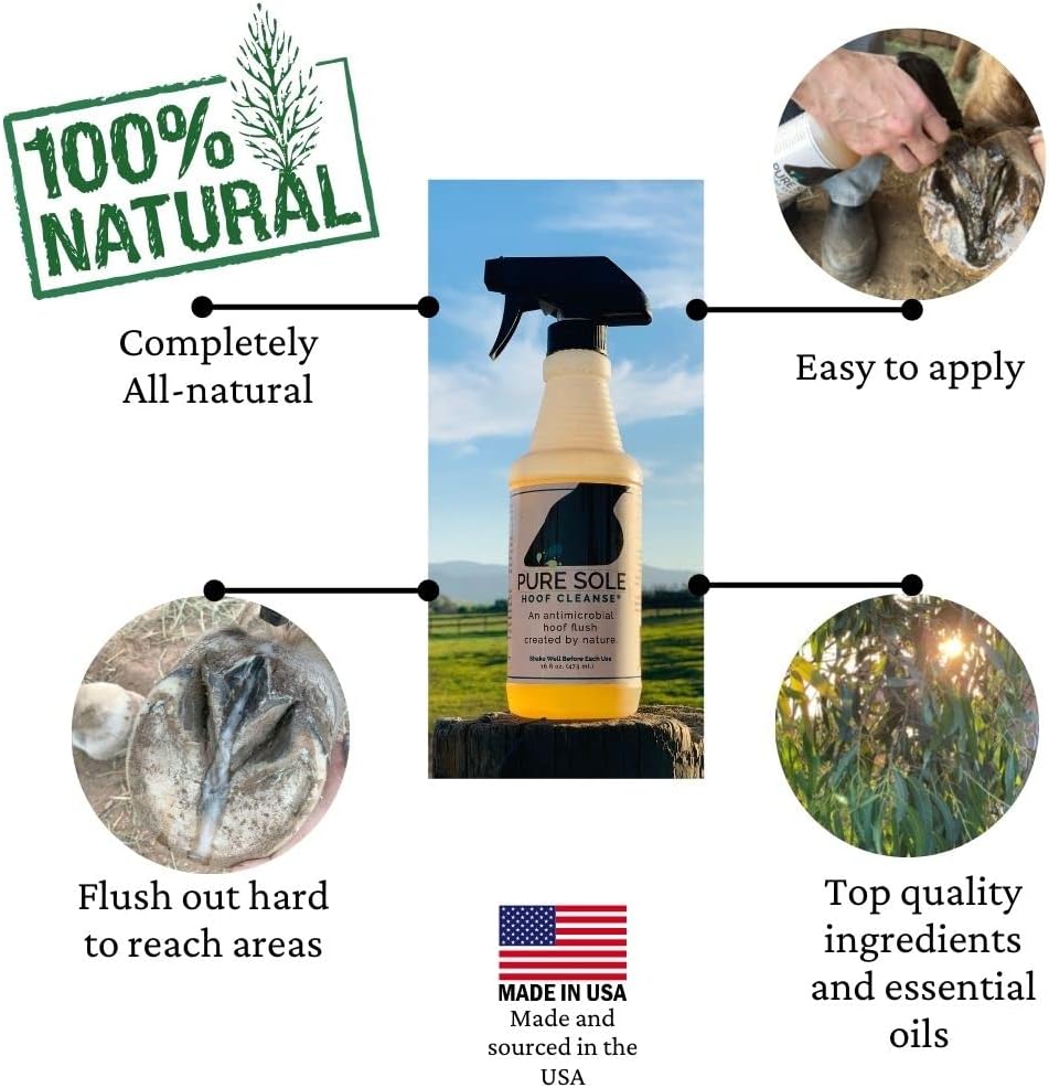 Complete packaging of the authentic imported Pure Sole severe horse thrush treatment dual action kit.
