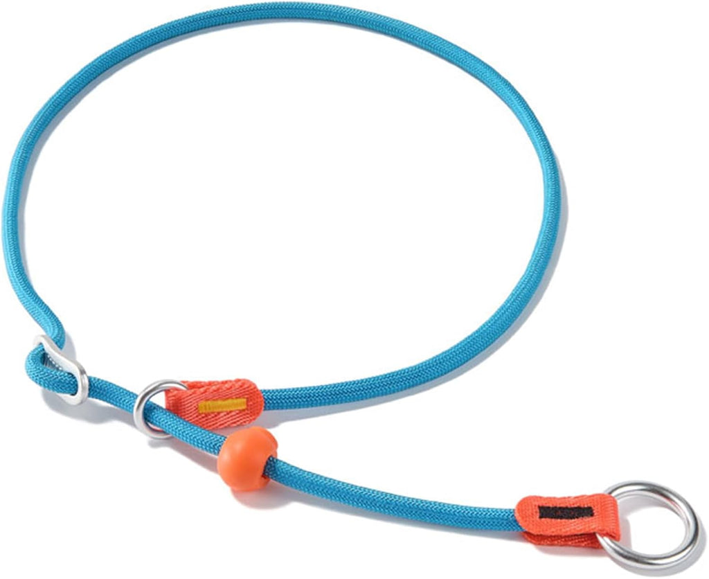HowGo Slip Collar for dogs blue front view