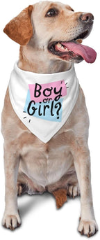 He Or She What Will It Be? Gender Reveal/Baby Announcement Dog Bandana,Pet Neckerchief for Pets Daily Wear Photo Prop Party Supplies (Blue) - Image 13