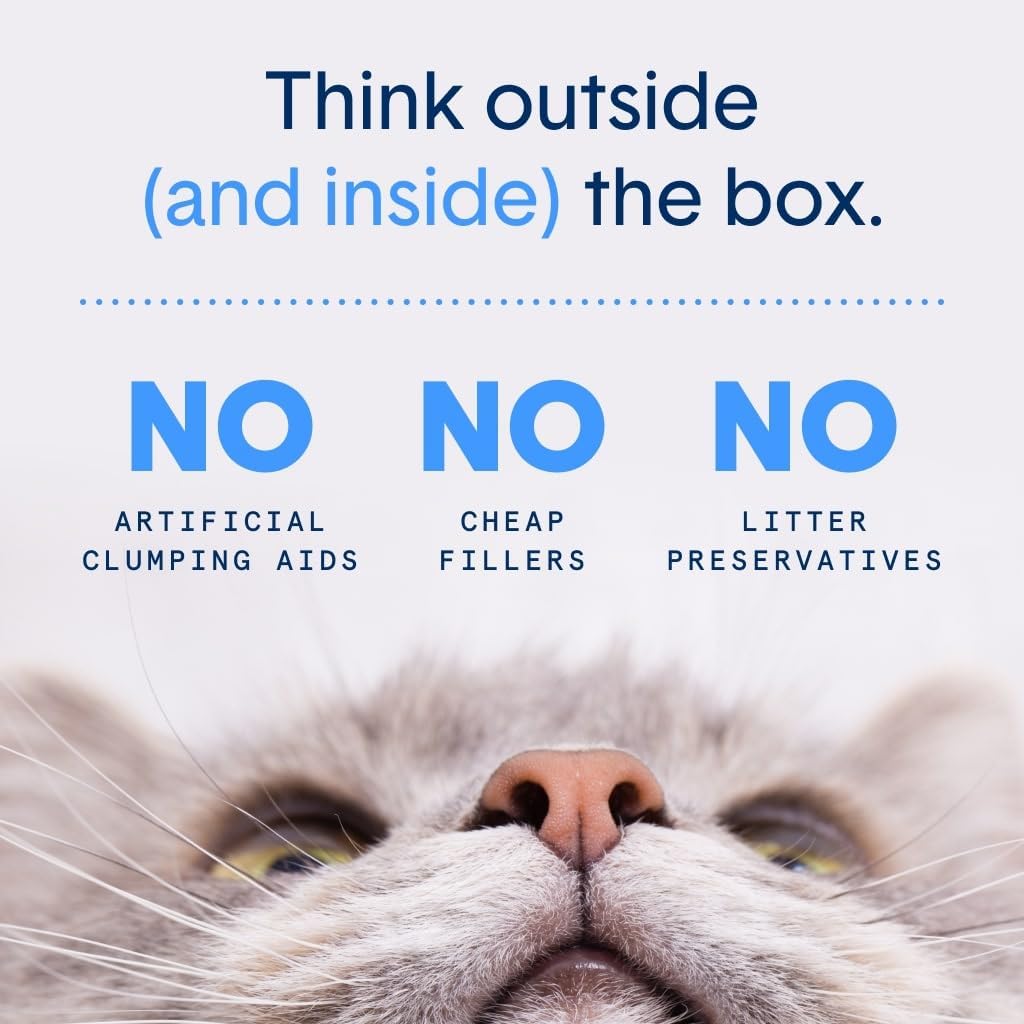 Boxiecat sustainable pet waste bags back packaging instructions.