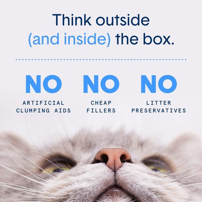 Boxiecat sustainable pet waste bags back packaging instructions.