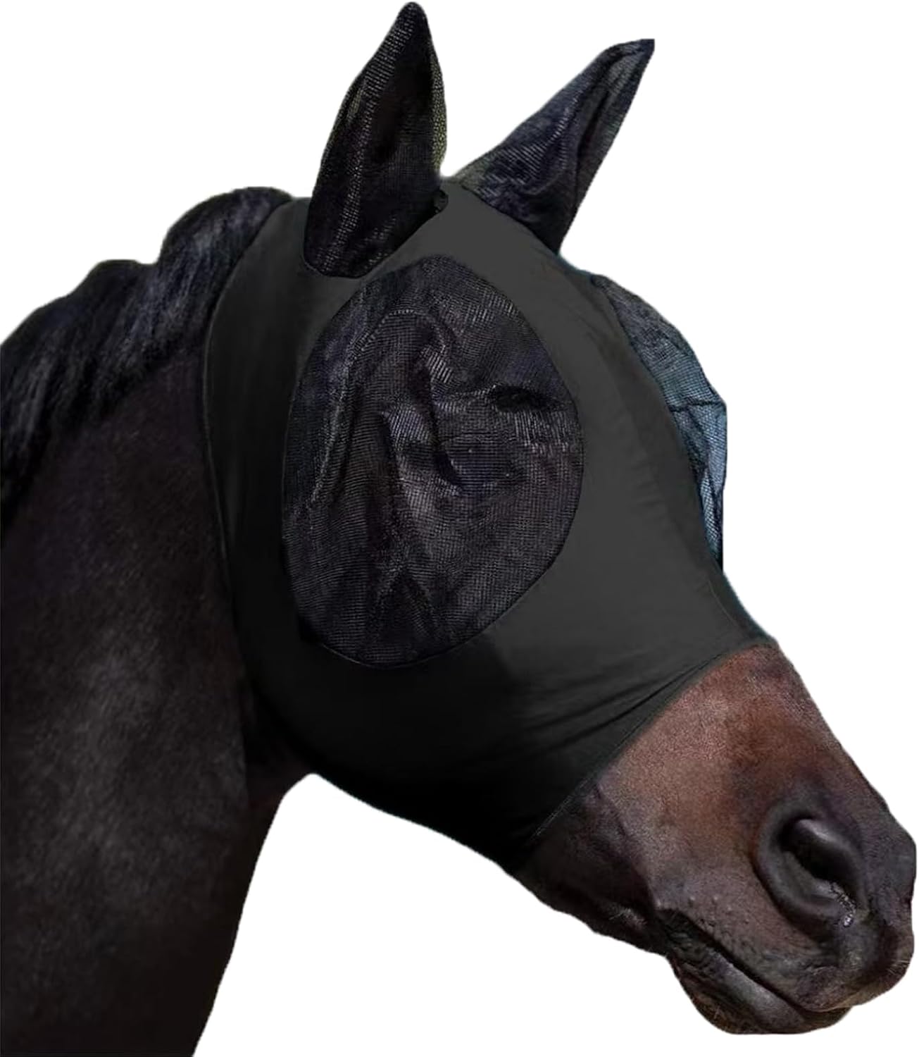 Small horse wearing blue Huame fly mask in pasture