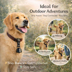 Kcrygogo black loud jingle bell attached securely to a large dog collar strap