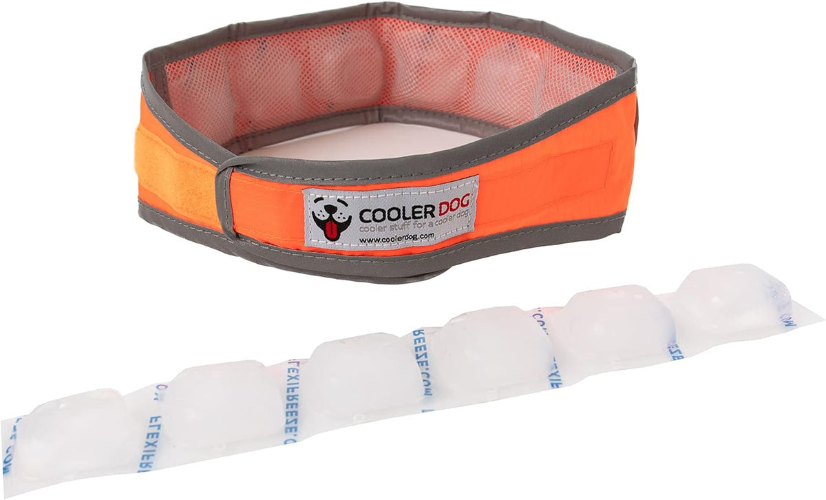 CoolerDog high visibility orange neck cooling wrap flat lay look