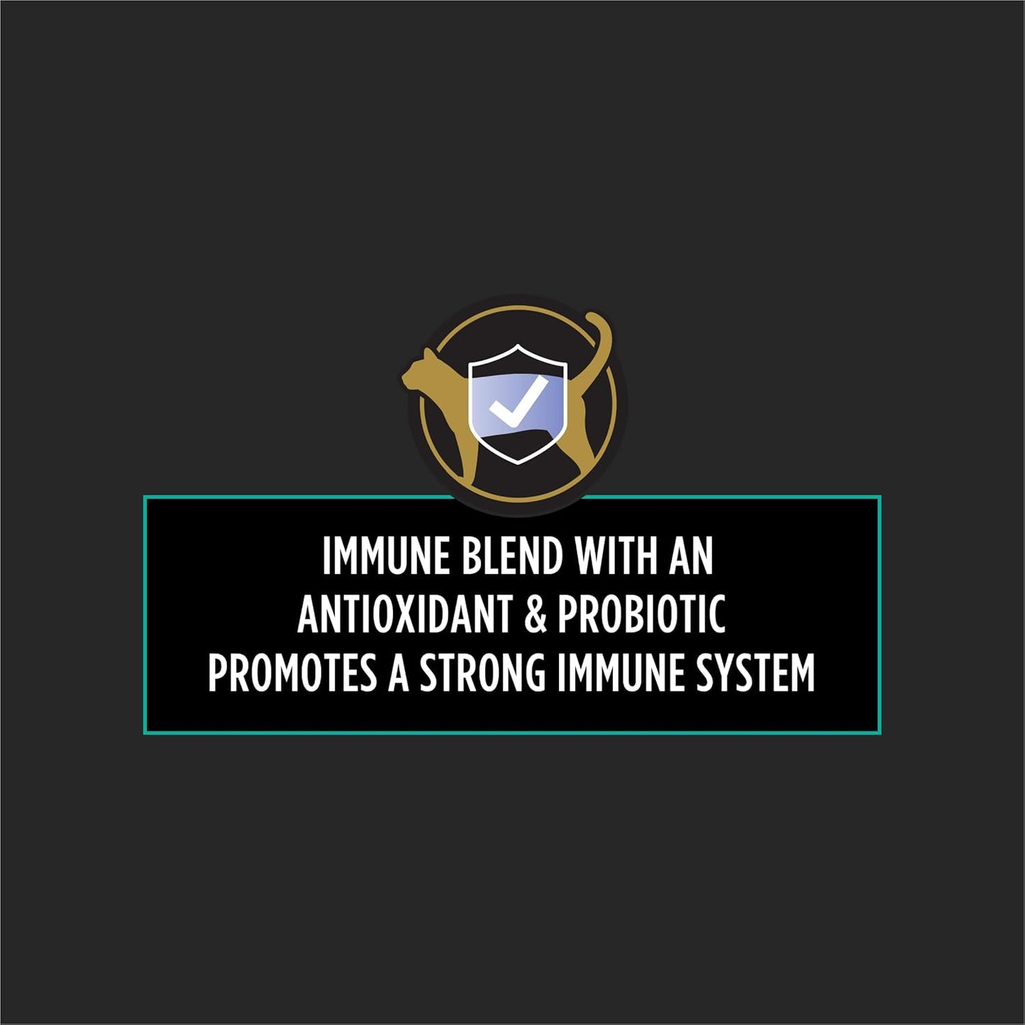 Premium USA imported cat immune support supplement packaging details.