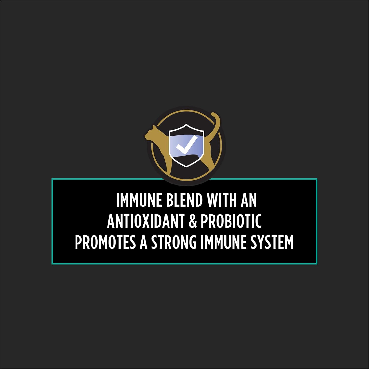 Premium USA imported cat immune support supplement packaging details.