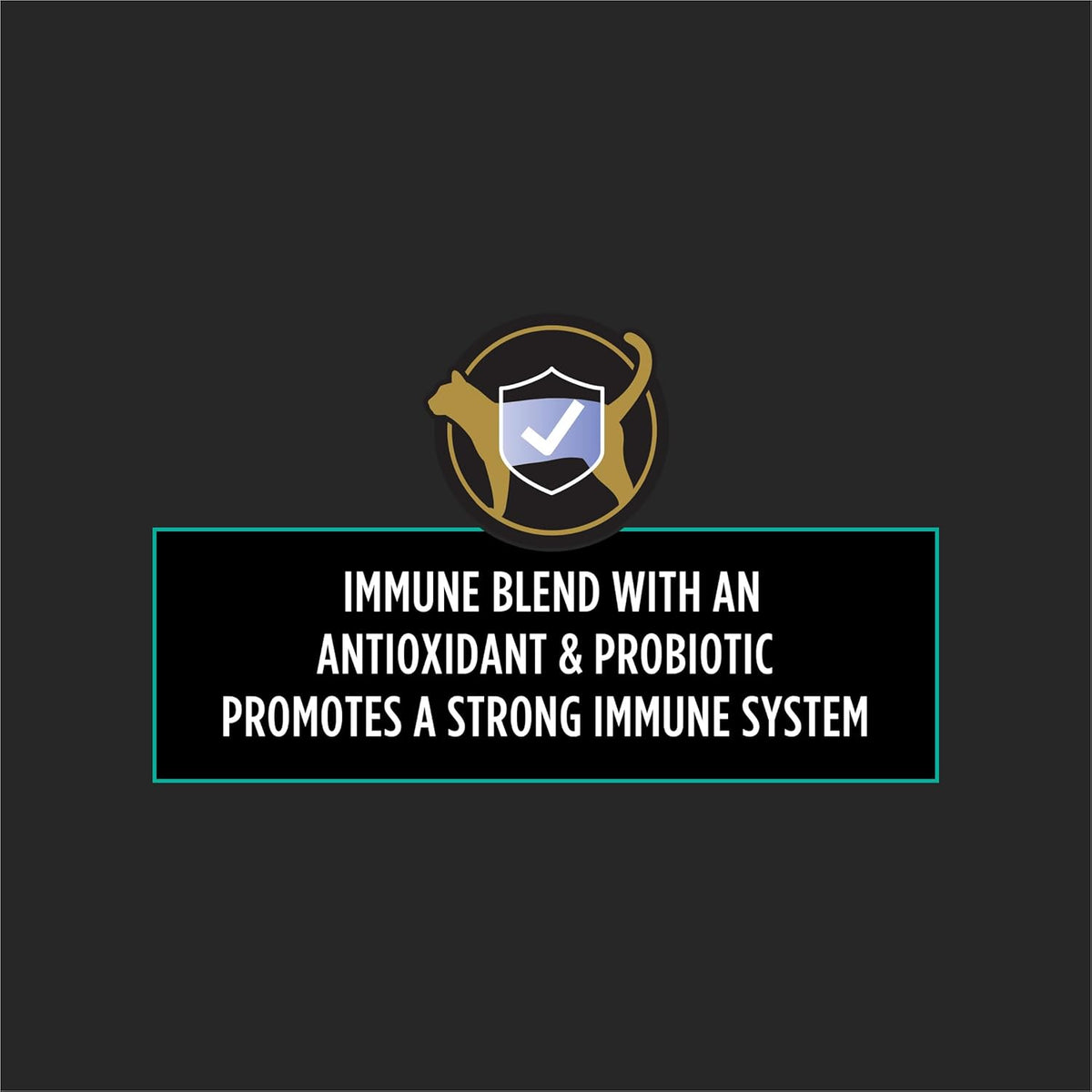 Premium USA imported cat immune support supplement packaging details.