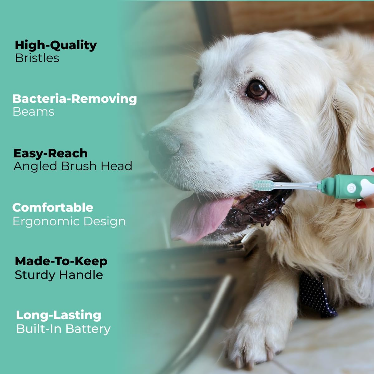 Petsie dog toothbrush showing built-in LED light feature