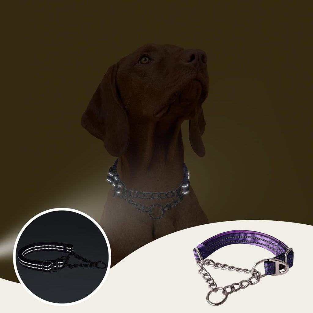 Dual D rings construction on premium nylon no pull pet collar