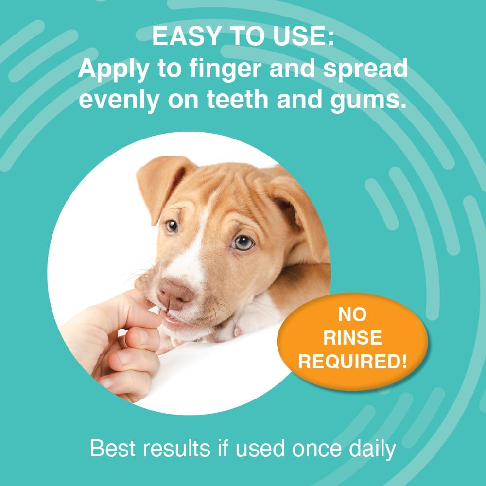Nootie medicated oral care gel for dogs packaging
