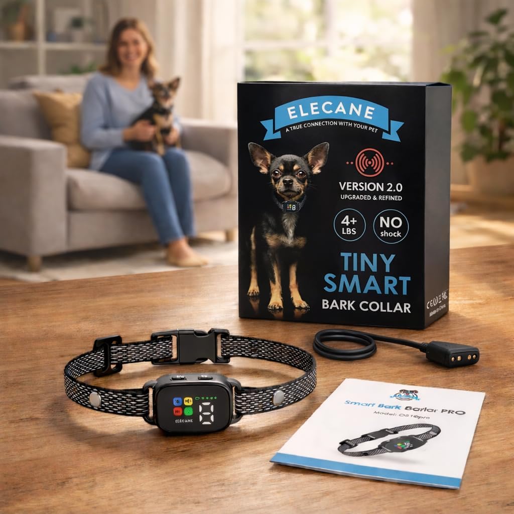 Small breed dog wearing Elecane adjustable bark collar