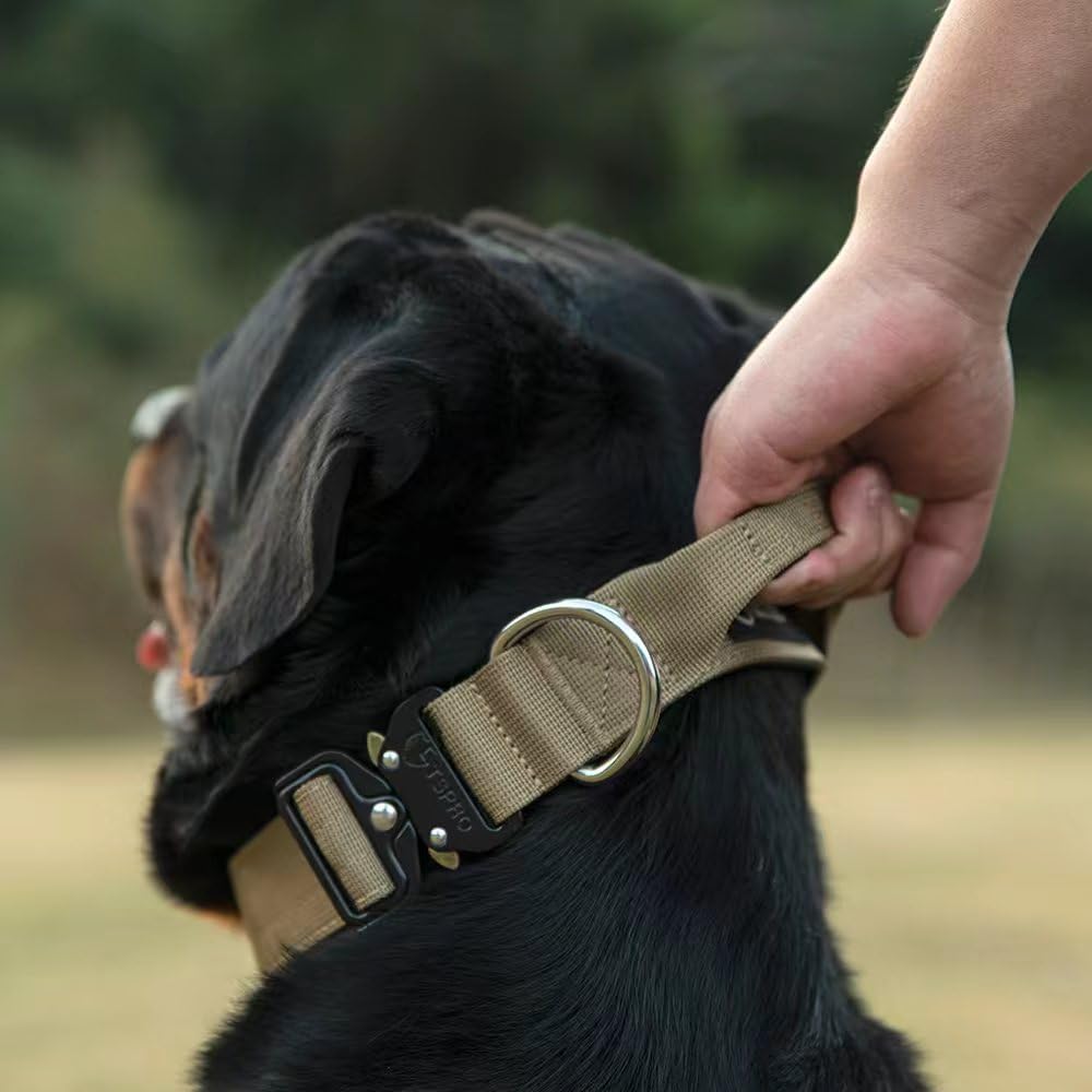 Close up of Tspro dog collar heavy duty metal buckle