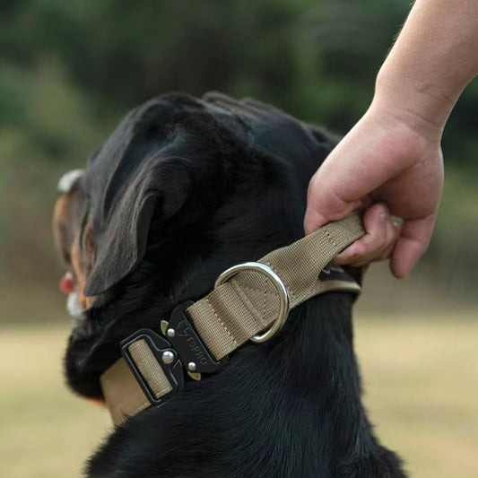 Close up of Tspro dog collar heavy duty metal buckle