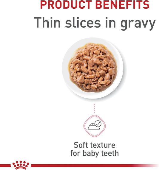 Royal Canin Wet Kitten Food 24 Pack Cans