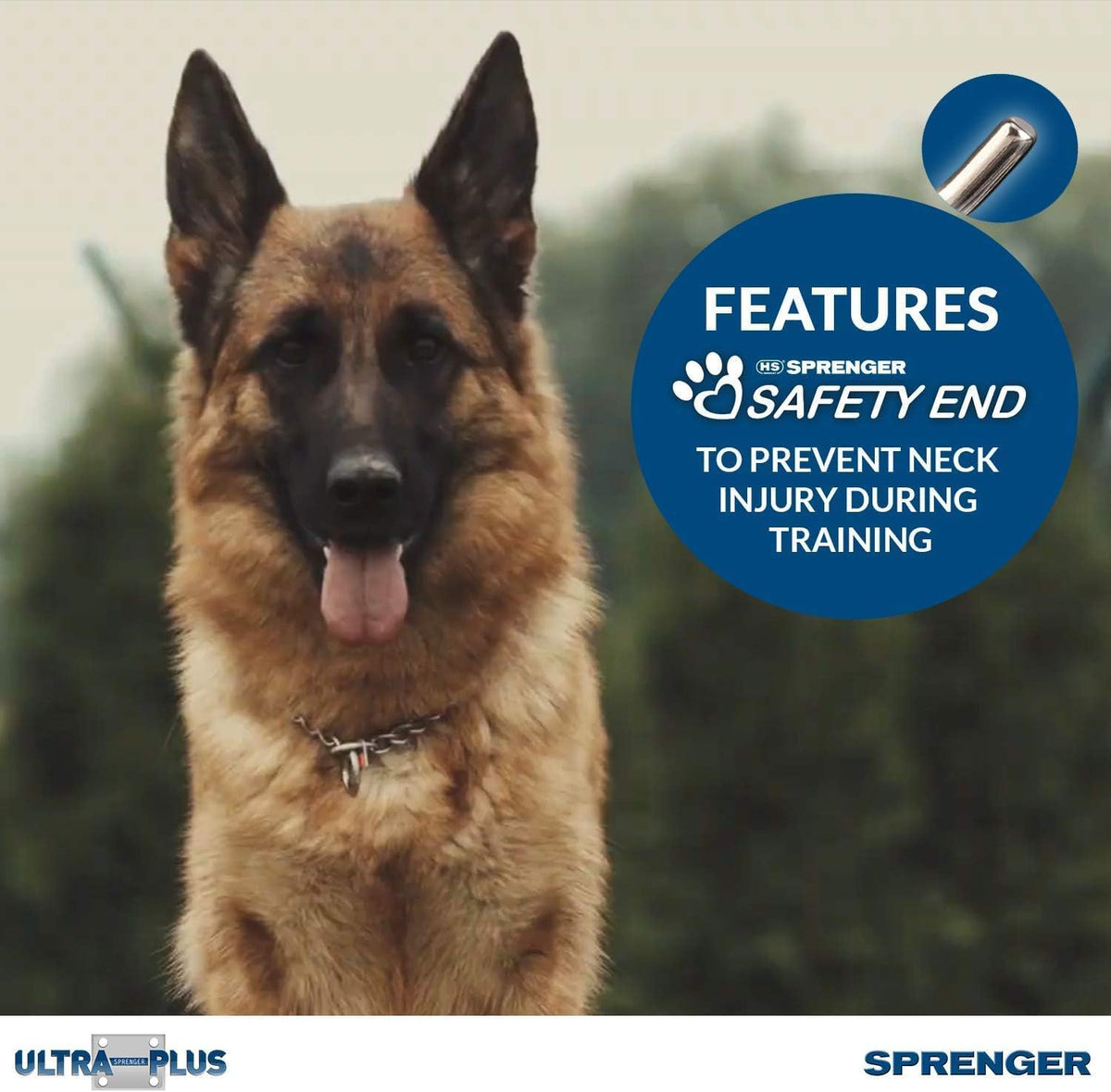 Herm Sprenger German engineered obedience training collar links